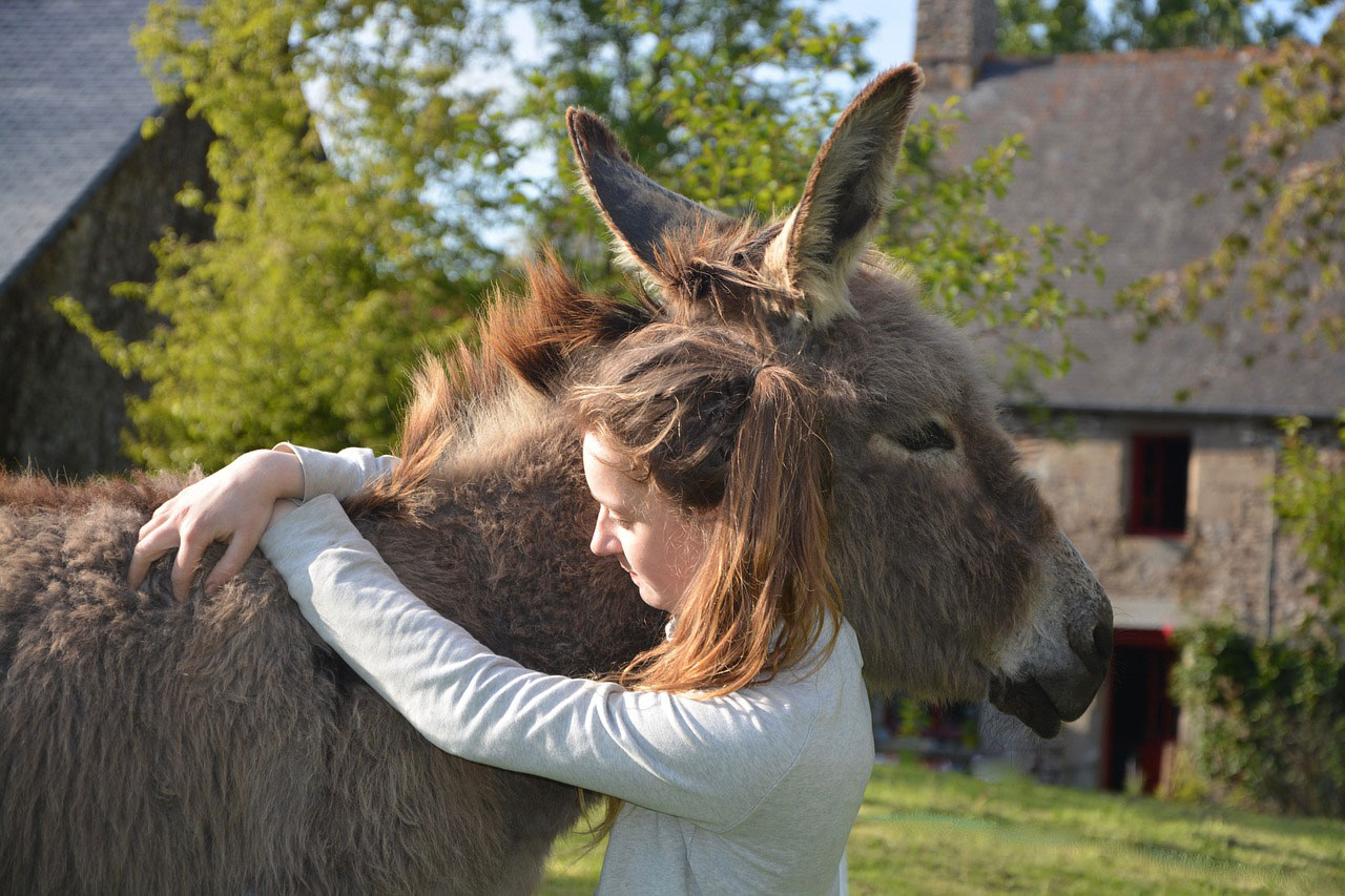 Ceux qui parlent à leurs animaux seraient plus intelligents que la