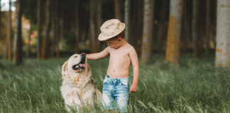 races de chiens les plus gentils avec les enfants