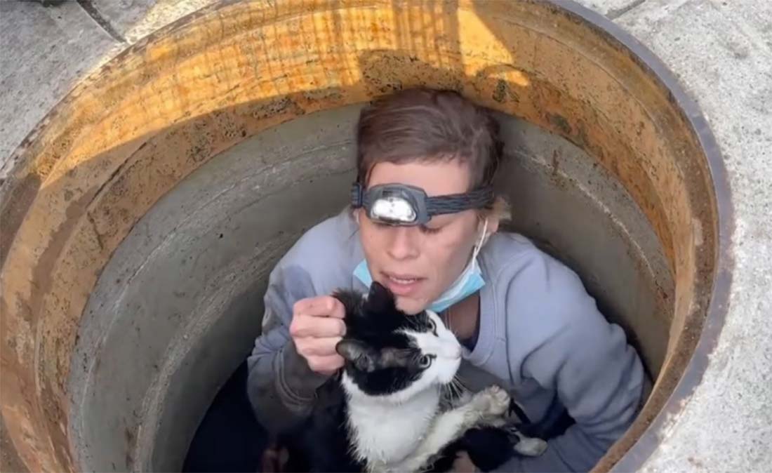 sauver un chat dans un égout