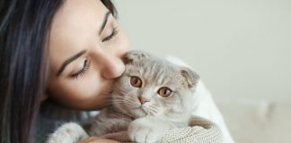 créer une complicité avec son chat