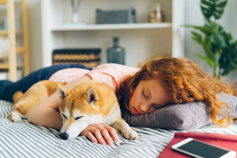 Dormir avec son chien