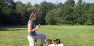 devenir éducateur canin