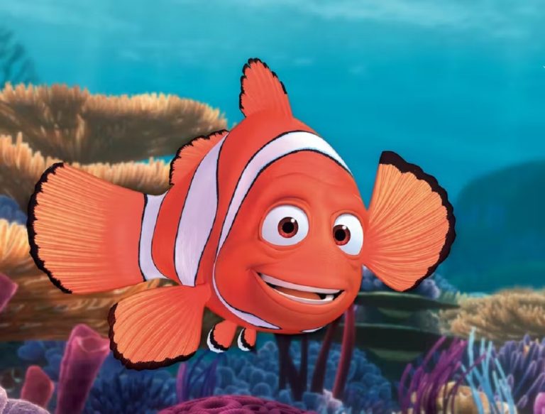 Nemo