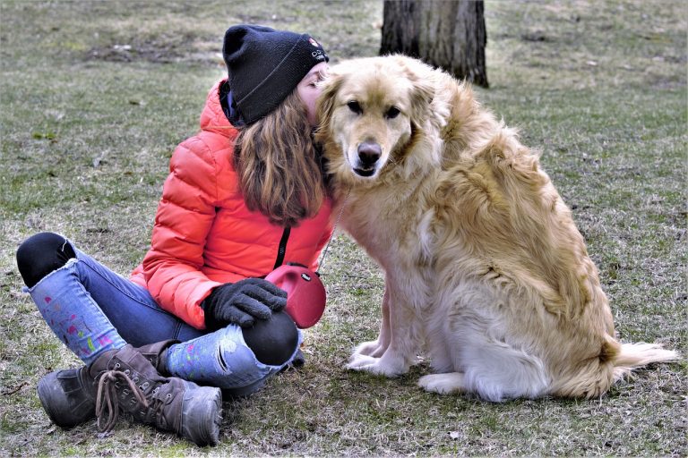 Comment faire pour que votre chien soit plus affectueux