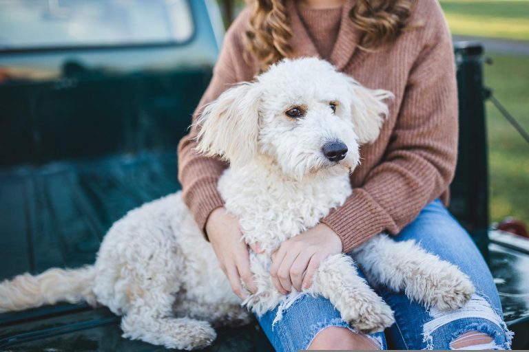 vous rapprocher de votre chien