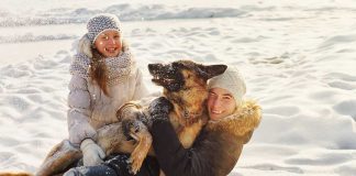 races de chien qui ne pensent qu’à leur maître