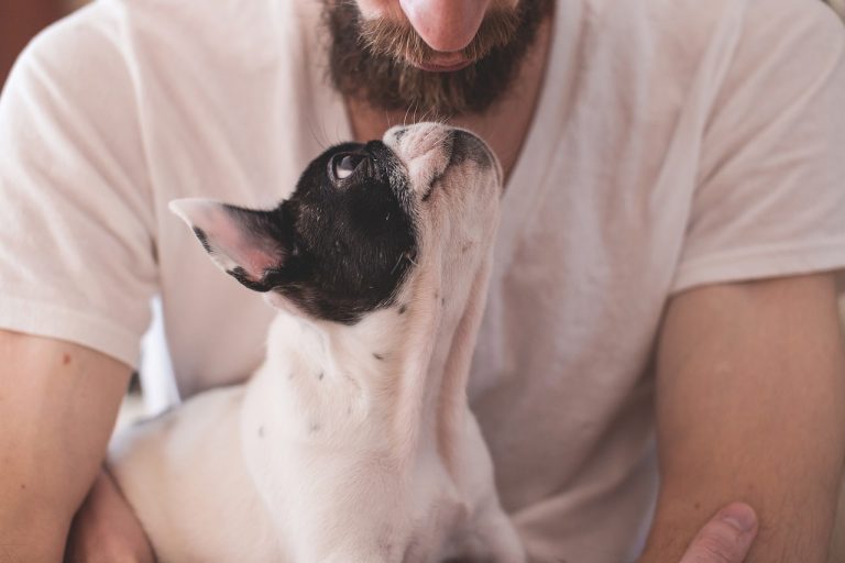 Un amoureux des chiens aide les chiens en Ukraine