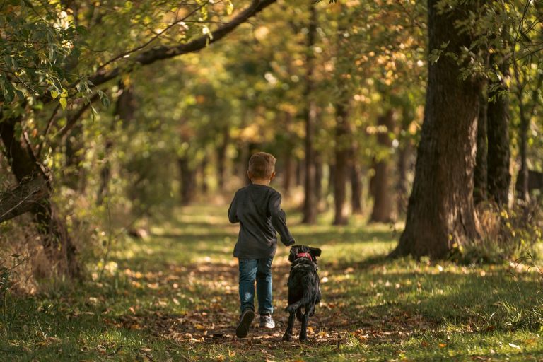 Un garçon de 4 ans porté disparu sauvé avec son chien