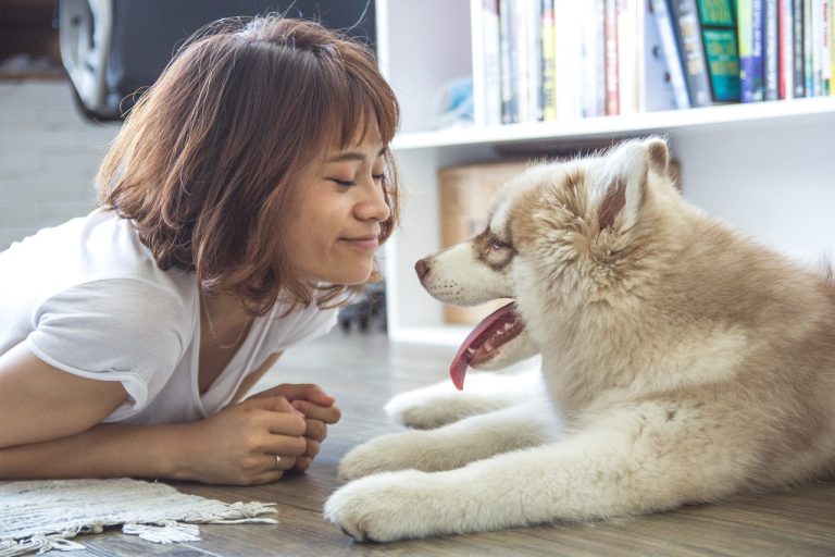 Divorcé et co-parent de votre chien ?