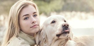 races de chien qui idolâtrent leur maître