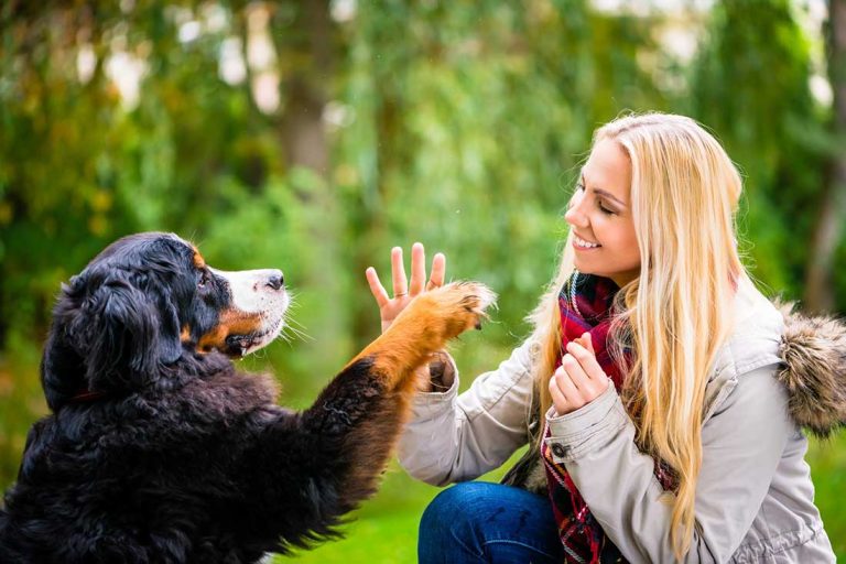 races de chien qui ne vous laisseront pas partir