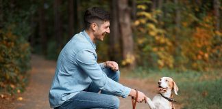 races de chien grande affinité avec leur maître