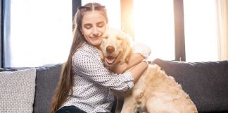 races de chien qui sont en harmonie avec leur maître