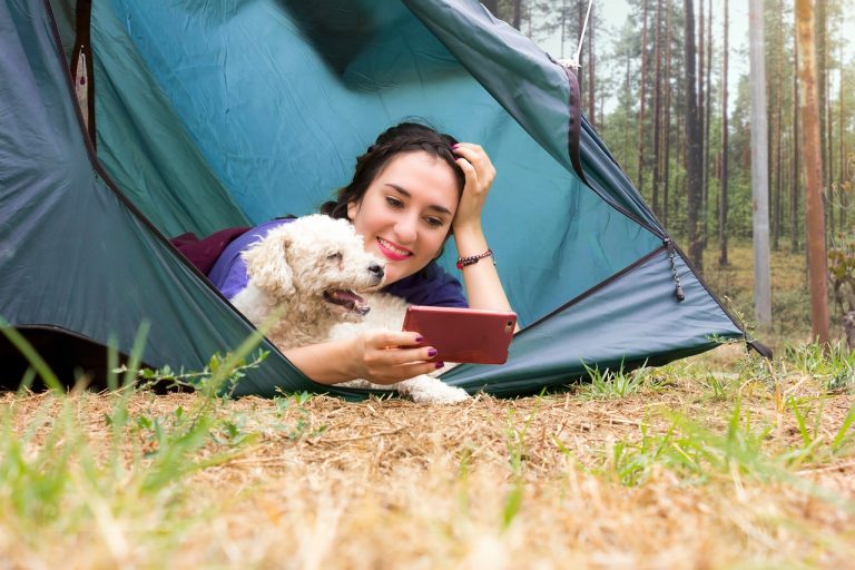 Voici les races de chien qui ont besoin d’être choyées par leur maître