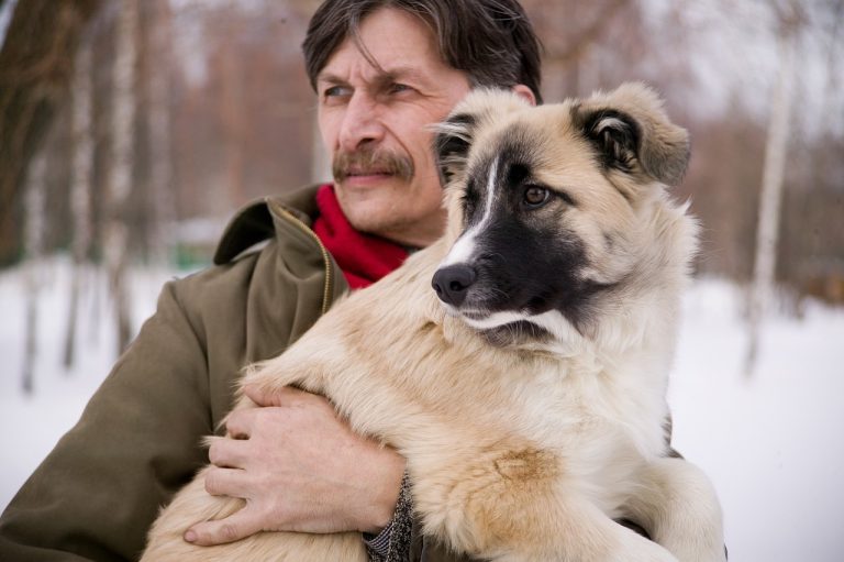 Les 8 races de chien qui vont le plus facilement nouer une amitié avec leur maître