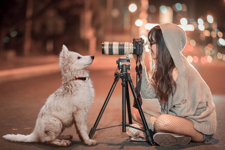 Comment choisir le photographe idéal pour votre chien ?