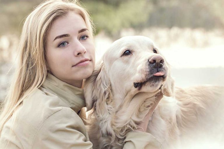 races de chien qui ont le plus de tendresse pour leur maître