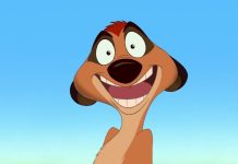 Quel animal est Timon