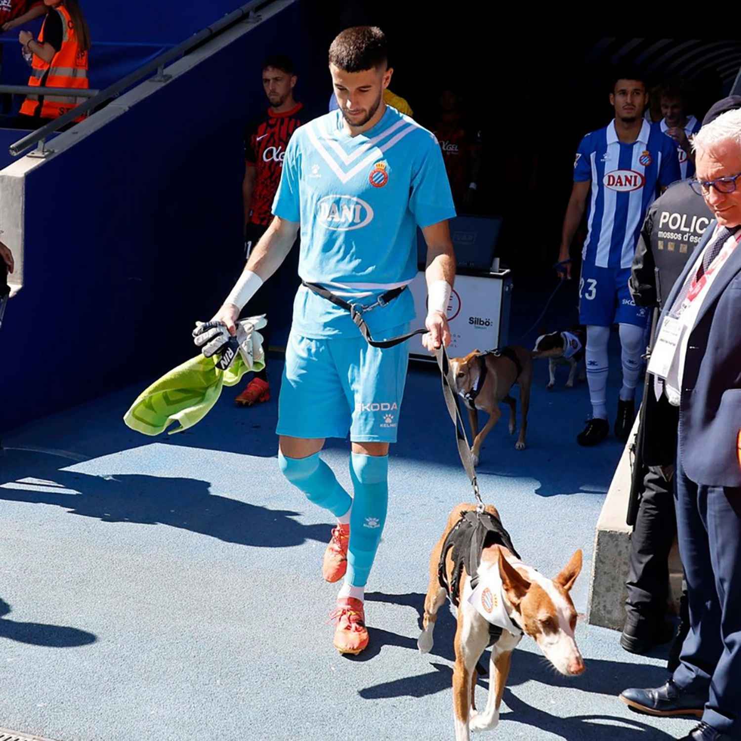 footballeurs espagnols chiens