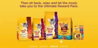 meow mix challenge marque croquette