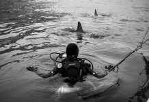 plongeuse avec requin préhistorique