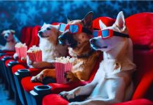 cinéma chien paris