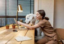 chien bureau travail entreprise