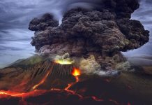 prévision éruption volcanique animaux