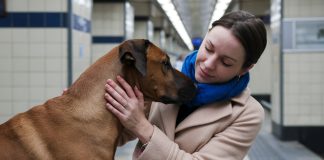 chien dans le métro