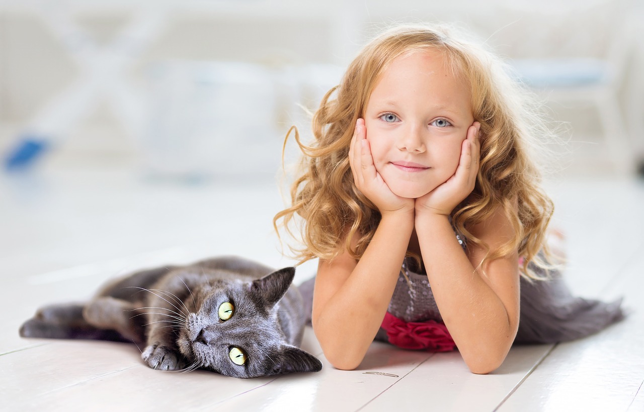 15 Races De Chats Ideales Avec Les Enfants