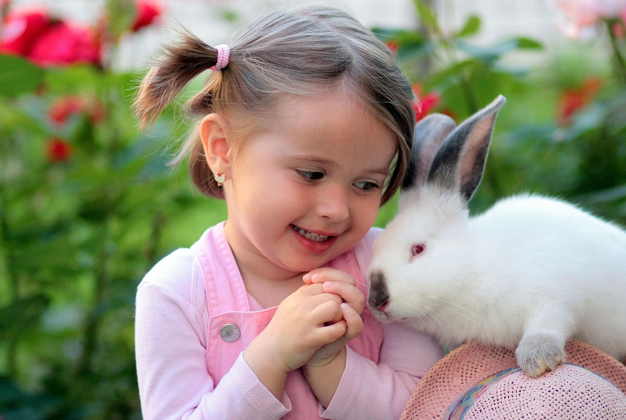 100 idées de noms de lapin pour mâles et femelles