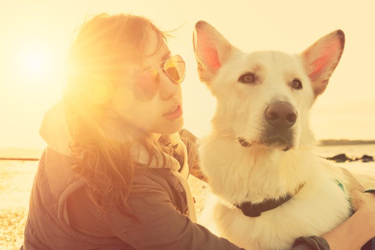 races de chien qui ont besoin de beaucoup d’interactions sociales