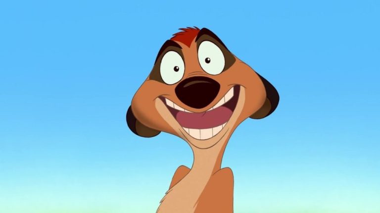 Quel animal est Timon